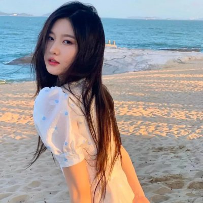美国之子